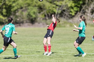 Bild 302 - F SG NieBar - IF Stjernen Flensborg : Ergebnis: 2:0
